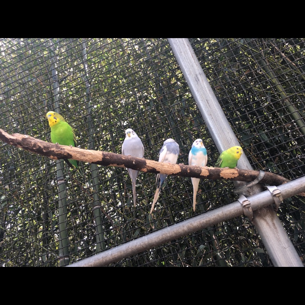 Meet your Posher, Sylvia